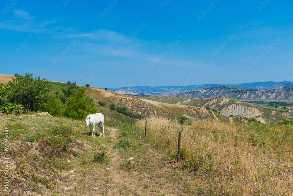 Fototapeta premium Craco (Italy) - The evocative ruins and landscapes of the ghost town scattered among the badlands hills of the Basilicata region, beside Matera, destroyed by a landslide and abandoned.