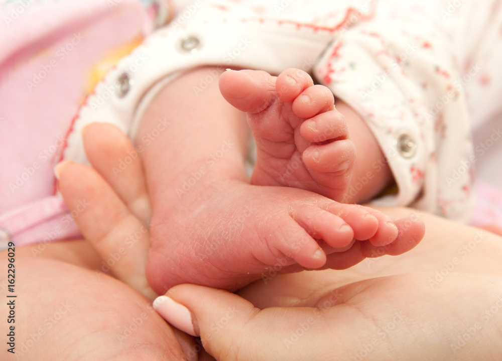 Infant heels in mother's and fathers hands Infant heels in mother's and fathers hands