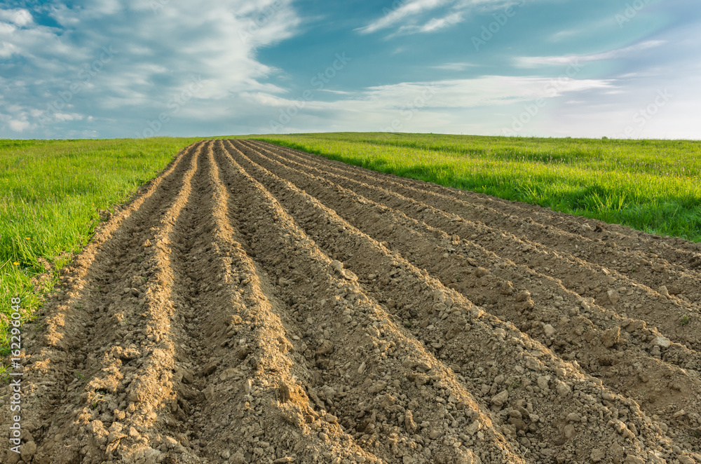 Plowed brown field under blue sky Plowed brown field under blue sky