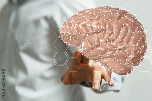 brain