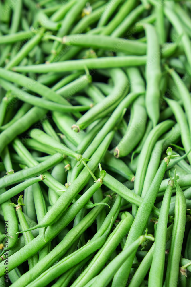 Green french beans organic vegetables - shallow depth of field Green french beans organic vegetables - shallow depth of field