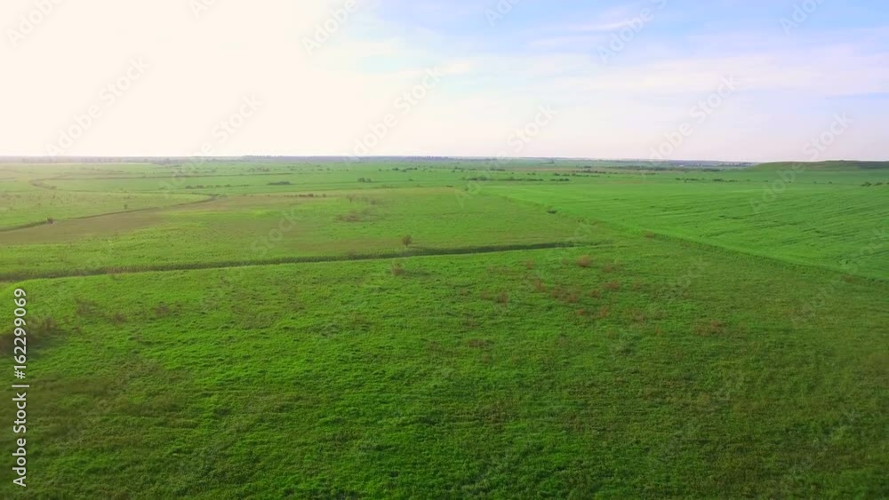 Aerial View. Flying over a green field in the evening at sunset. Aerial View. Flying over a green field in the evening at sunset.