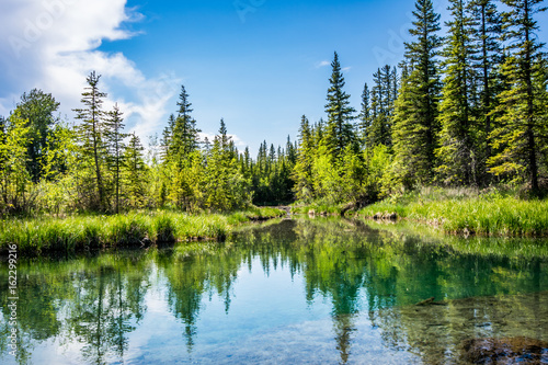 Griffith Woods Park