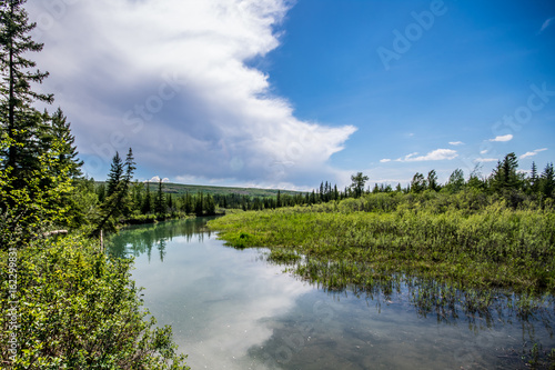 Griffith Woods Park