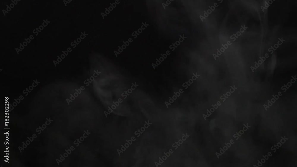 Smoke On Black Background Smoke On Black Background