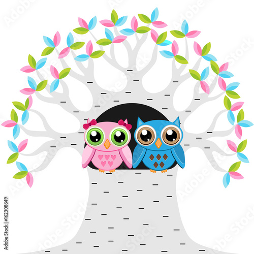 Two owl in the tree hollow