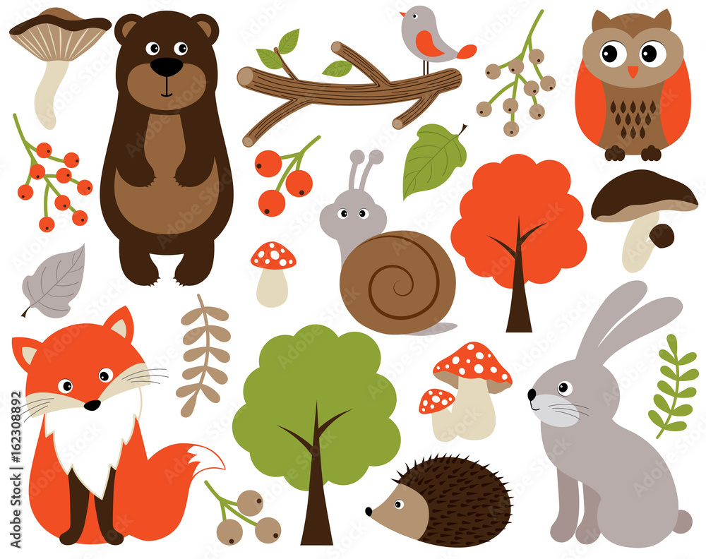 Vector Forest Animals Set. Vector Woodland Animals. Forest Animals ...