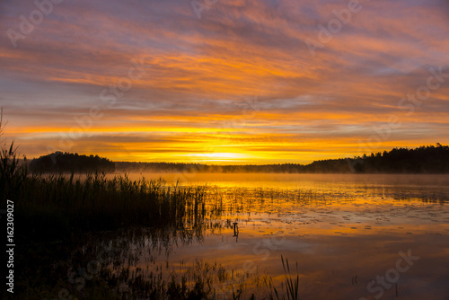 Fototapeta Naklejka Na Ścianę i Meble -  Summer sunset