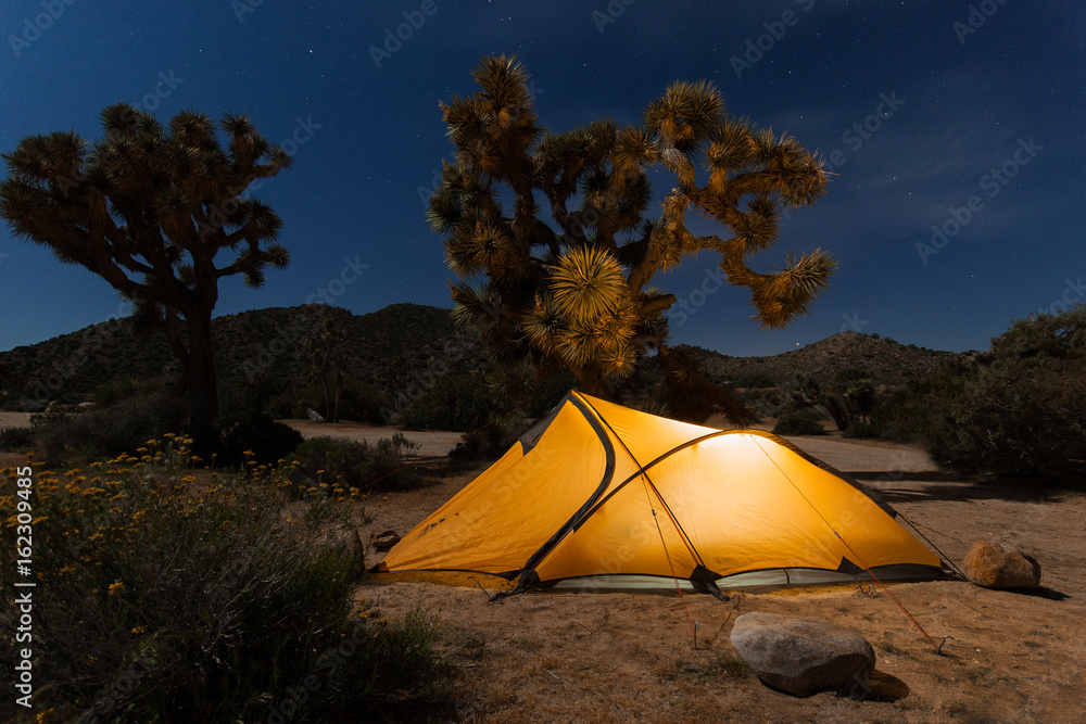 Lighten tent pitched in night desert with joshua trees, Joshua tree national park, California