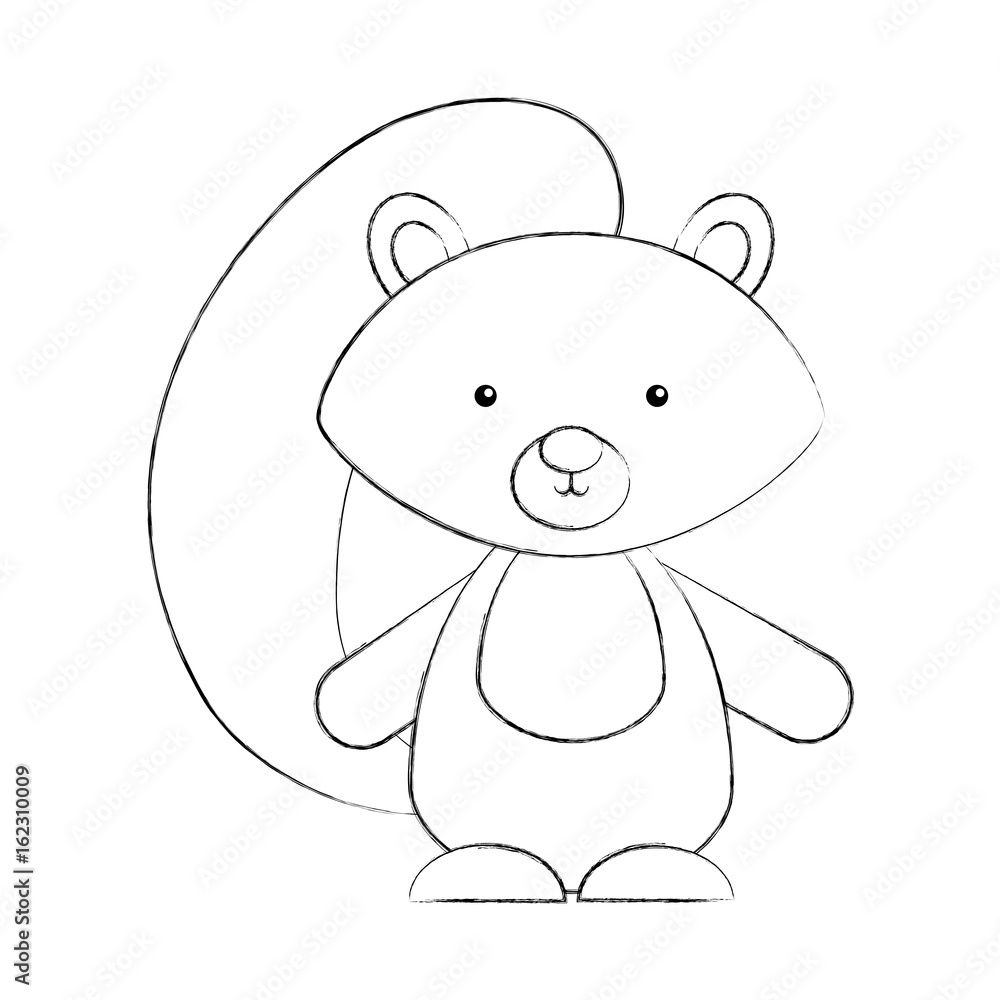 Animal squirrel cartoon icon vector illustration design draw Animal squirrel cartoon icon vector illustration design draw