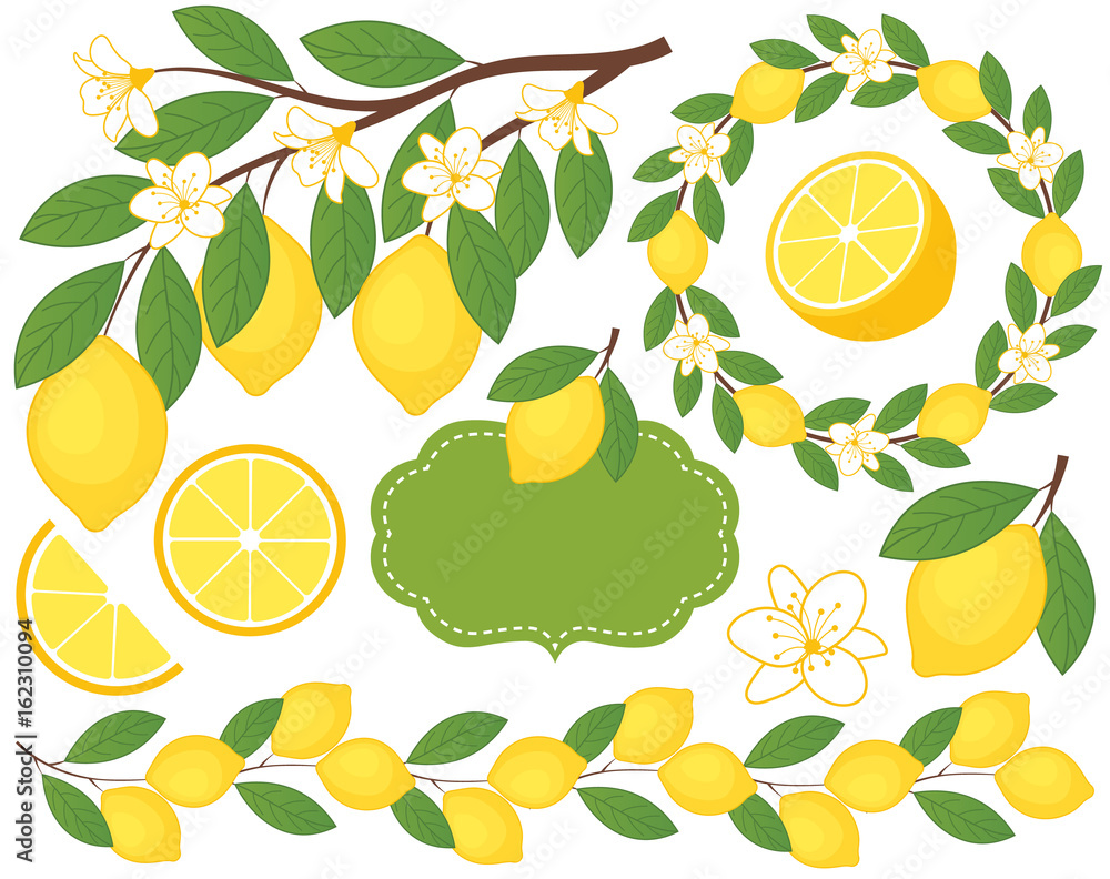 Obraz premium Vector Set with Lemons. Lemon Vector Illustration.