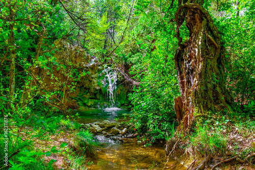 Fototapeta Naklejka Na Ścianę i Meble -  Small waterfall from a brook in a french forest