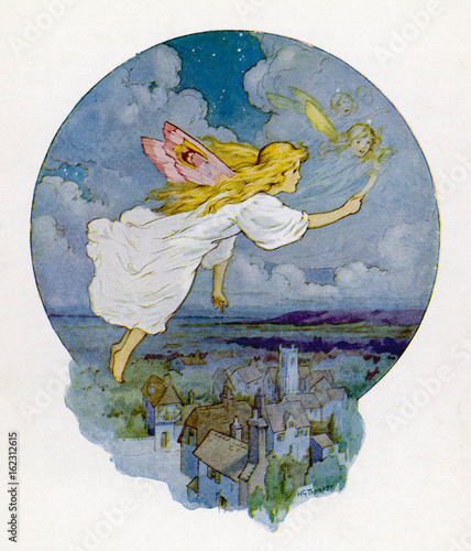 Εκτύπωση καμβά Ellie's Fairy Wings