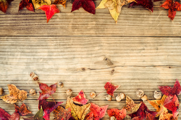 Beautiful maple leaves on vintage wooden background, border design. vintage color tone - concept of autumn leaves in fall season background