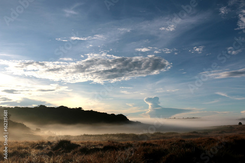 Horton Plains National Park in the morning
 photo