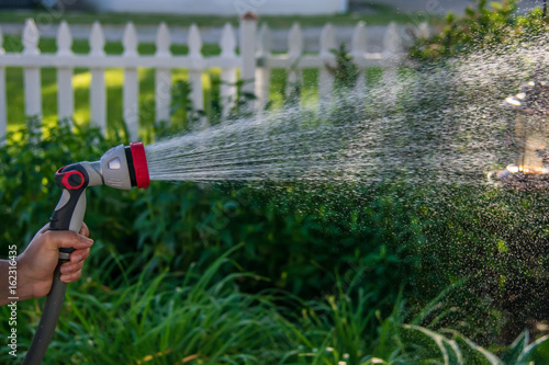 Hand holding spraying hose in the backyard garden