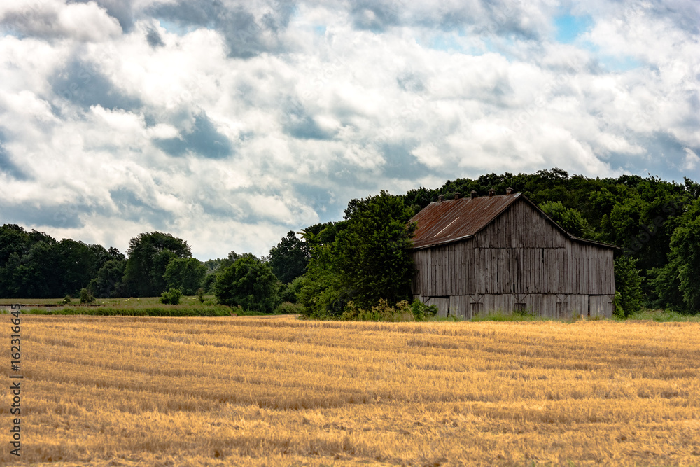 Weathered barn and harvested wheat field