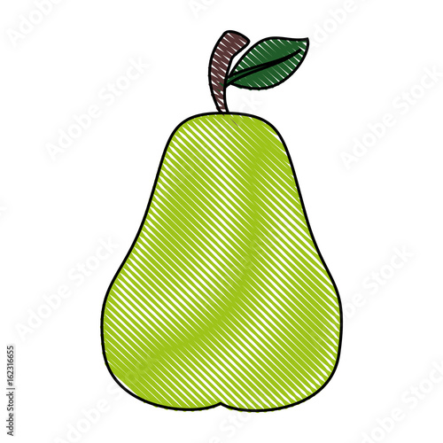 pear fruit icon over white background colorful design vector illustration