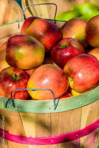 Obraz na płótnie Bushel of Apples 1