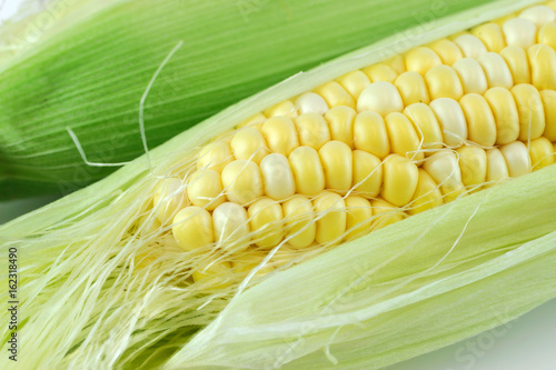 close up on fresh corn cob with husk 