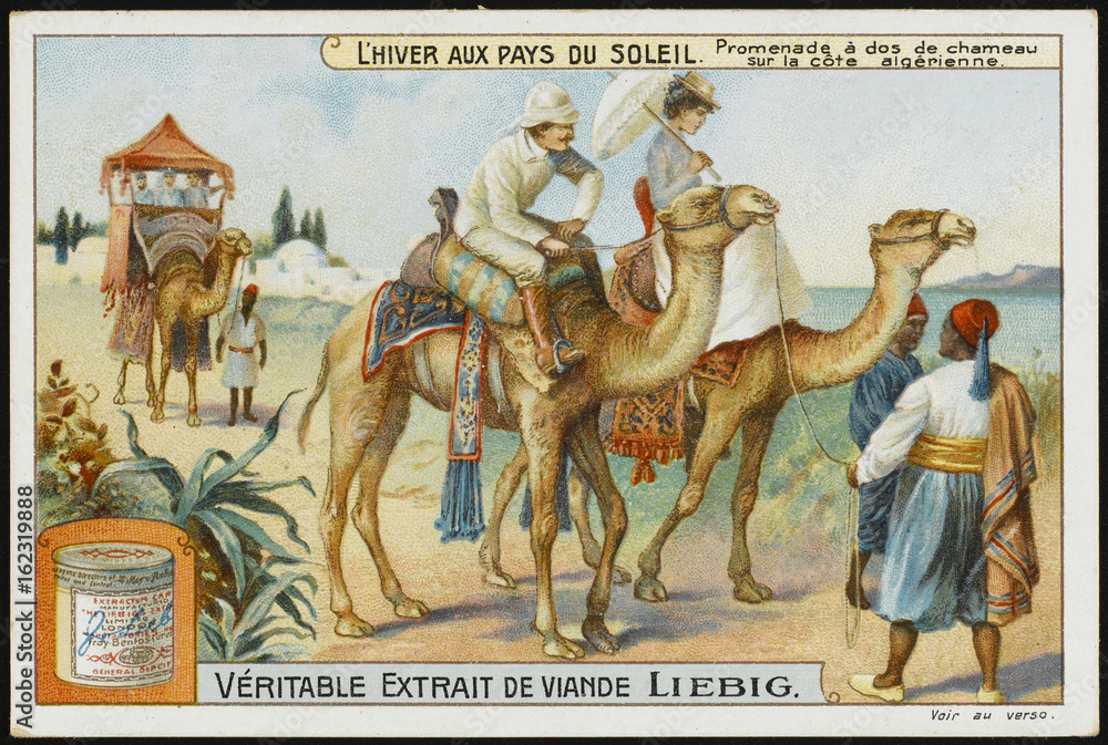 Tourists on Camels. Date: circa 1903
