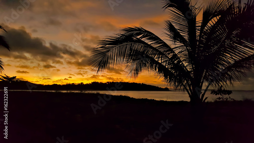 Silhouette of beach and coconut tree