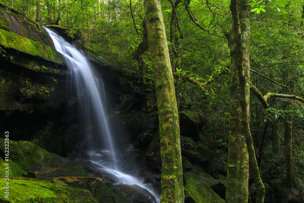 Thamyai waterfall located on the mountain in Phu Kradueng National Park, On a height of 1,316 meters. Loei Province, Thailand