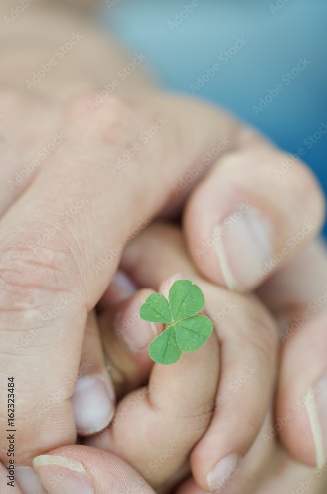 Hands of dad and children holding the four-leaf clover Hands of dad and children holding the four-leaf clover
