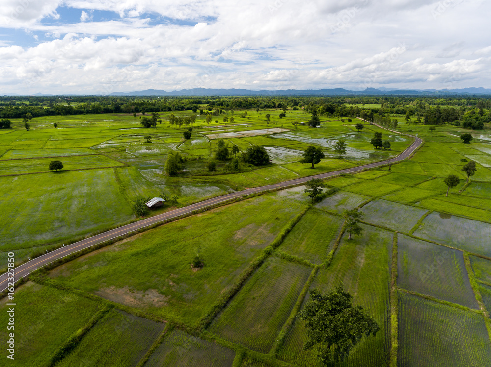 Fototapeta premium Rice-field high angle view form Drone