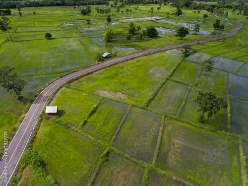 Rice-field high angle view form Drone