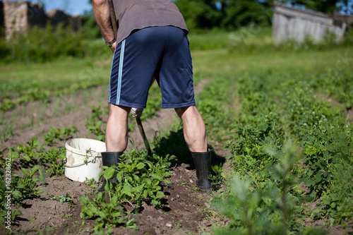 Man working garden with a hoe. Hobbies and ecological living background
