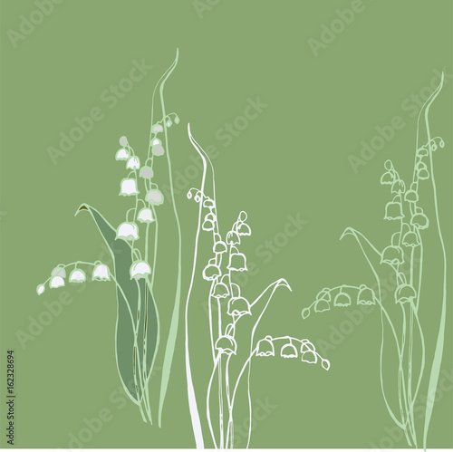 
White tenderness - Convallaria

