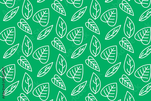White border green leafs patten