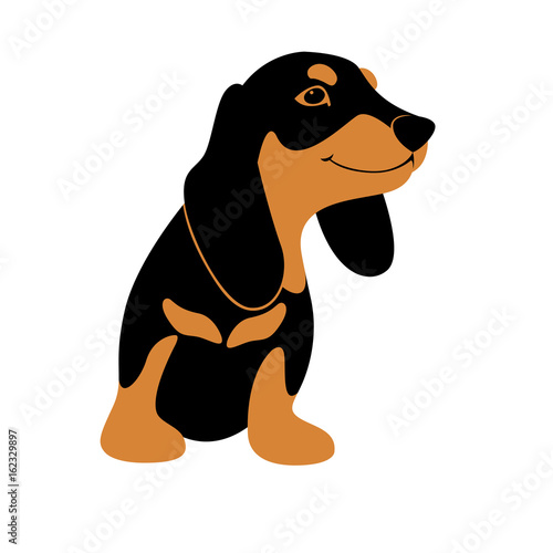 dachshund  dog cartoon  vector illustration style Flat