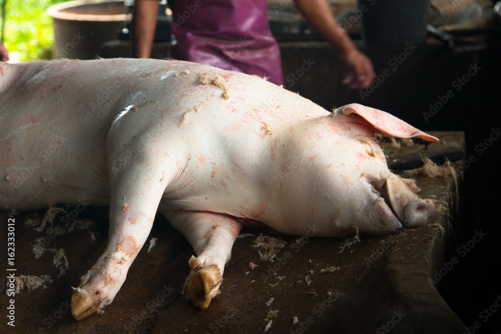 Swine slaughterhouse uses hot water for swine breeding in Thailand. Swine slaughterhouse uses hot water for swine breeding in Thailand.