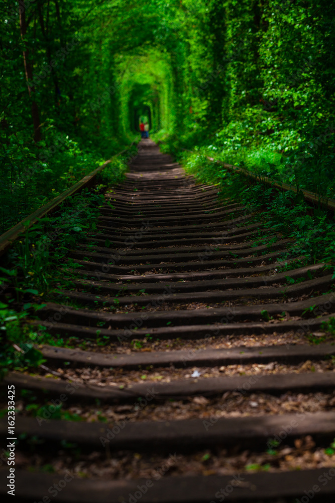 a railway in the spring forest tunnel of love a railway in the spring forest tunnel of love