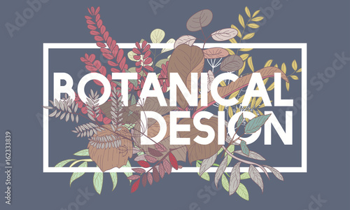 Botanical Design Vector Concept