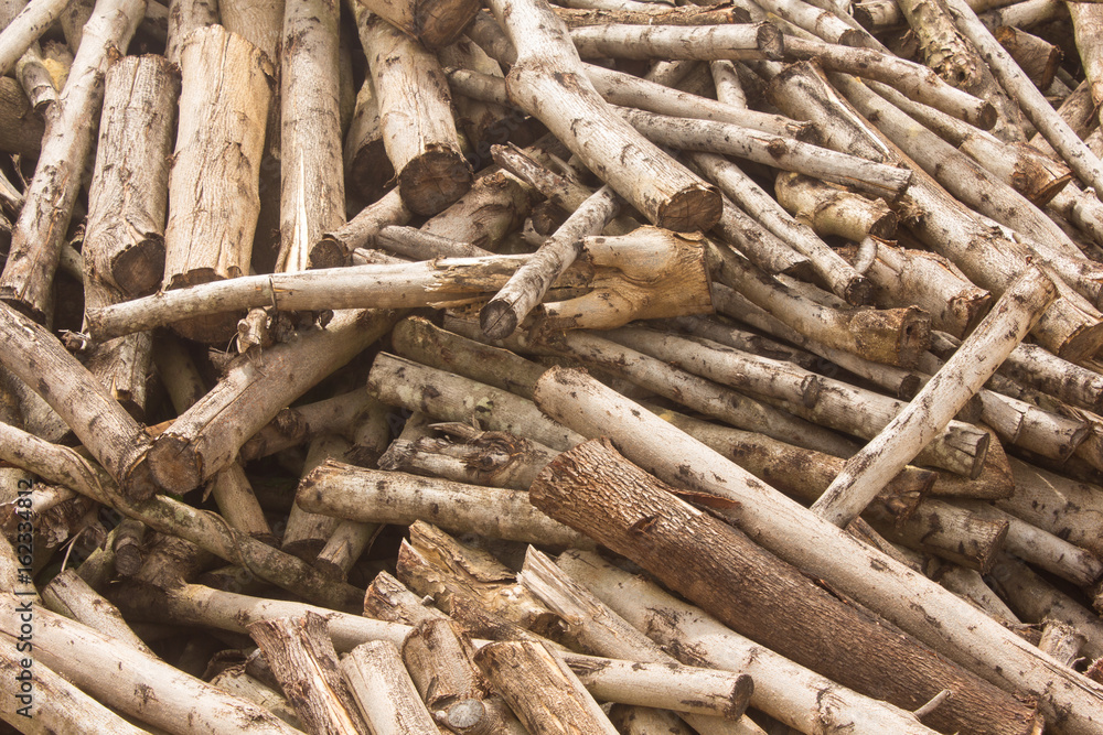 Firewood in countryside background Firewood in countryside background