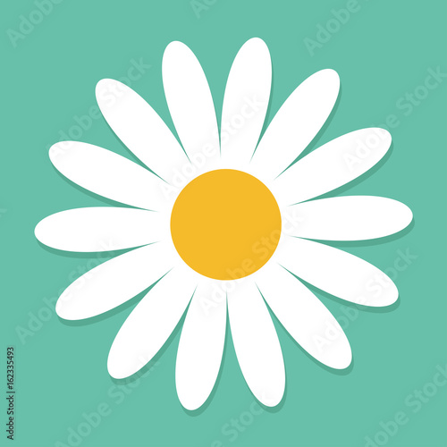 Fototapeta Naklejka Na Ścianę i Meble -  White daisy chamomile. Cute flower plant collection. Love card. Camomile icon Growing concept. Flat design. Green background. Isolated.