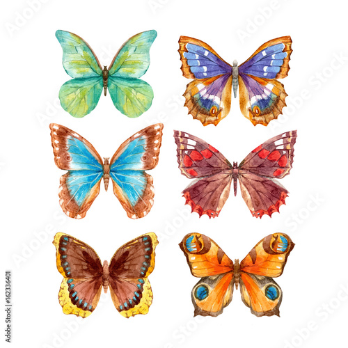 Watercolor butterflies vector set © zenina
