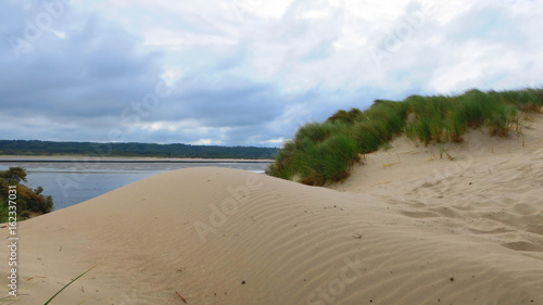 dunes of the Touquet   bay of the Canche   hauts de France   FRANCE 