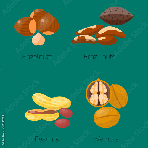 Piles of different nuts hazelnut peanut walnut brazil tasty seed vegetarian n...