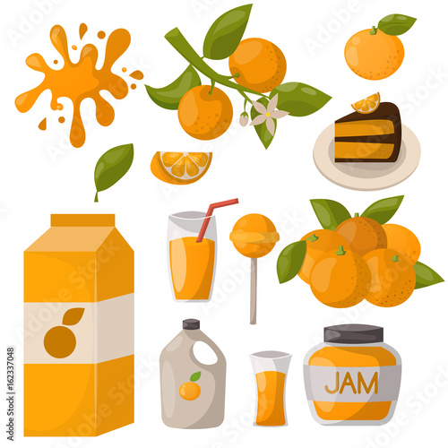 Ripe orange products fruits citrus slices sweet food realistic organic vector...