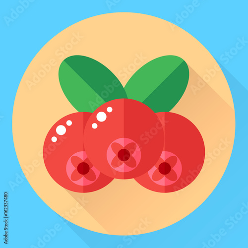 vector illustration, flat round icon cranberries, forest red ber