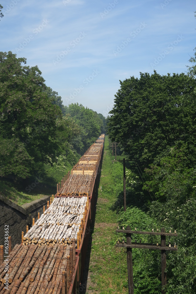 Sehr langer Güterzug mit Holzstämmen in der Ukraine 