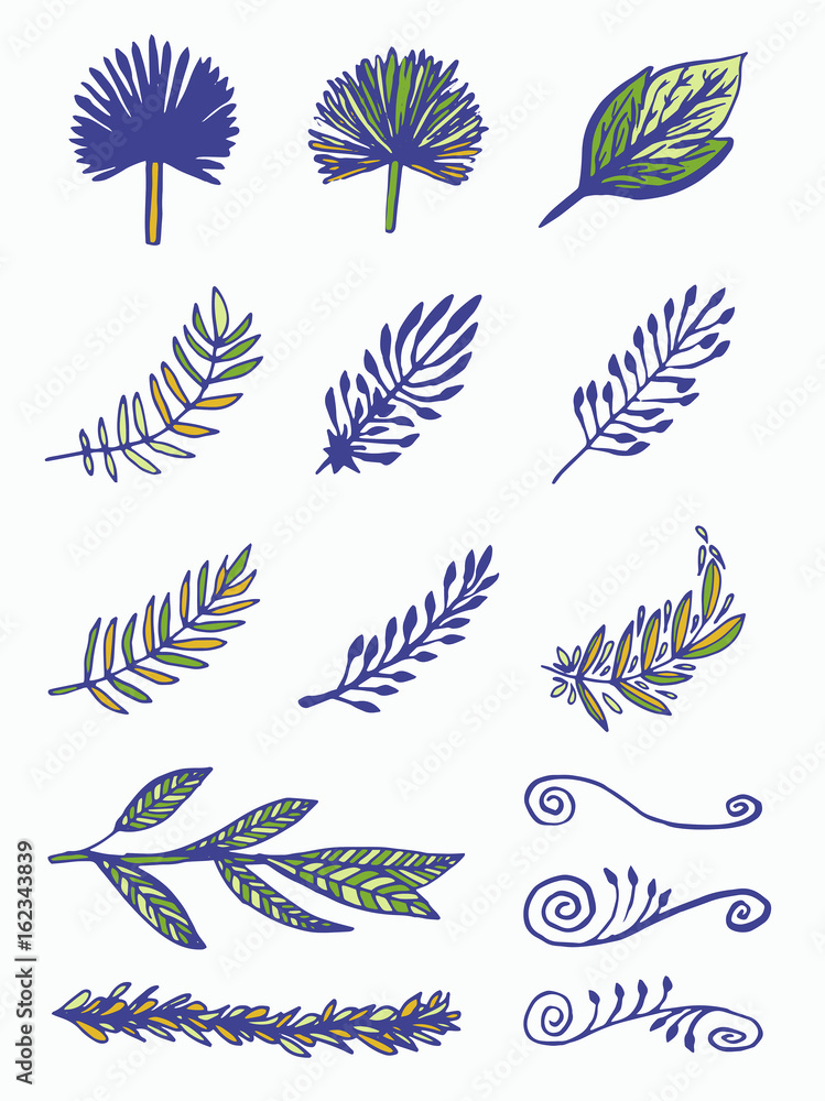 Vector icon set of leaves against white background Vector icon set of leaves against white background