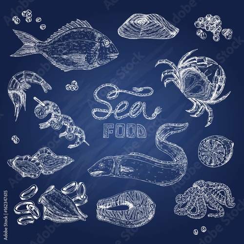 Hand Drawn Seafood On Chalkboard Set