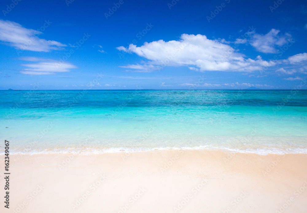 beach and tropical sea