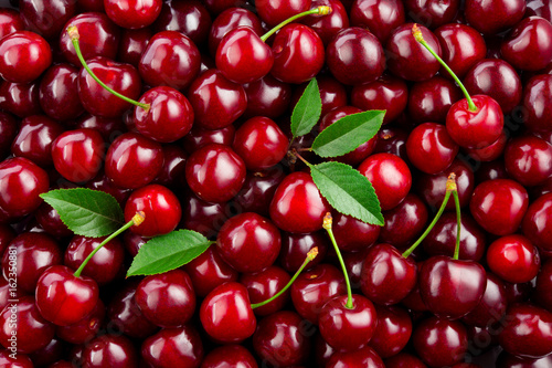 Cherry background. Cherry with leaves.