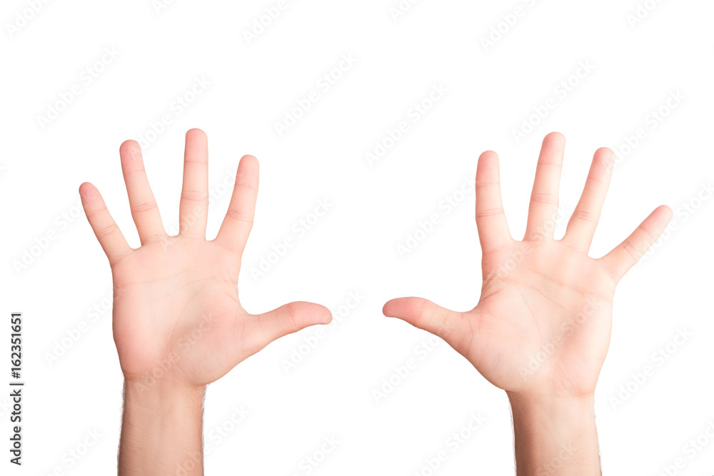 Hands concept. Gesturing Hands concept. Gesturing